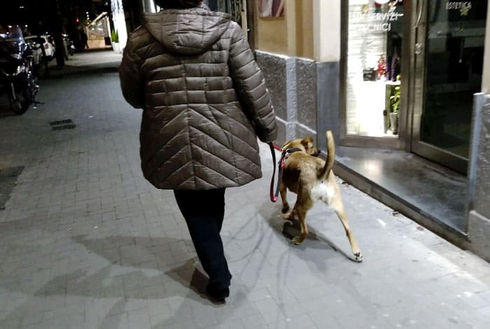 educazione urbana in città