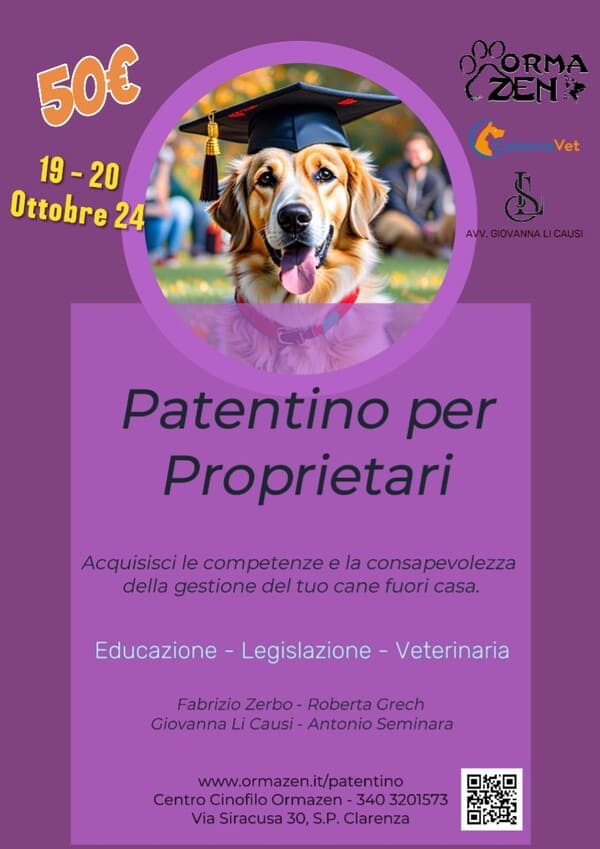 flyer proprietari web